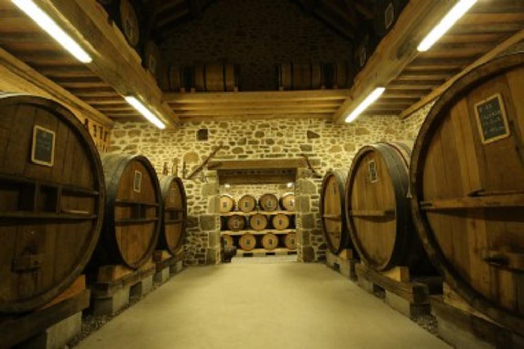 Ferme Cidricole Hugues Desfrieches Bed & Breakfast Sainte-Marguerite-de-Carrouges Bagian luar foto